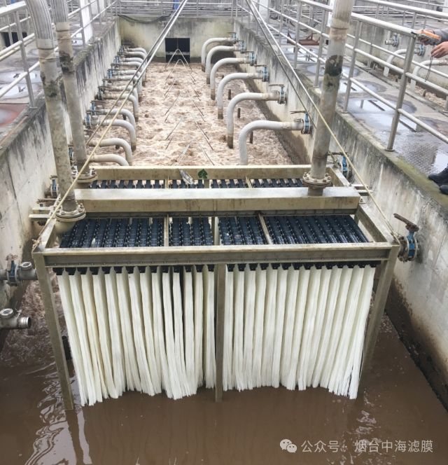 从源头到再生——中海滤膜系统性解决MBR污染难题